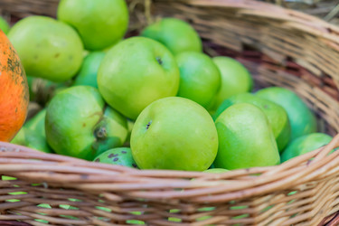 Similar image 21110280