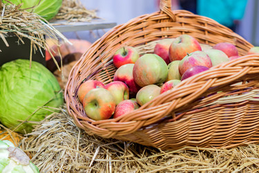 Similar image 21110288