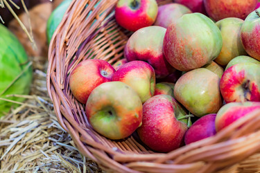 Similar image 21110292