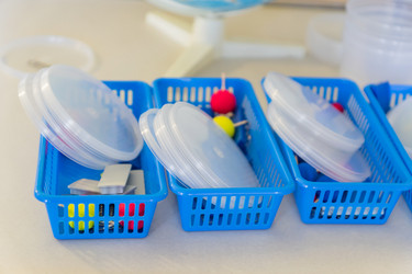 Similar image 21110304