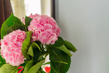 Similar image 21112360