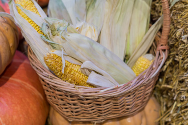 Similar image 21112361