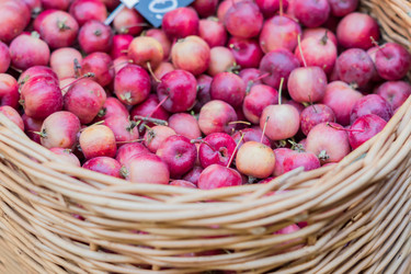 Similar image 21112364