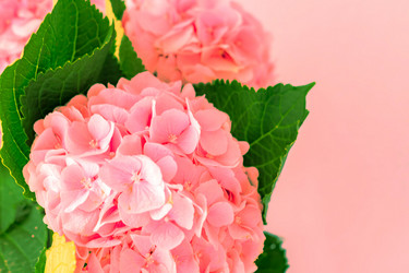 Similar image 21112370