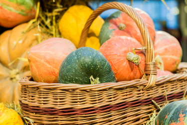 Similar image 21112373