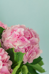 Similar image 21112374