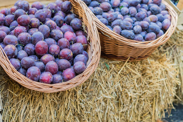 Similar image 21112375