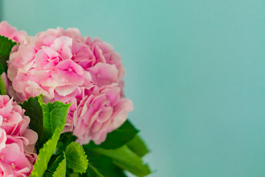 Similar image 21112378