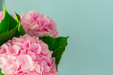 Similar image 21112382