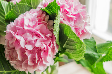 Similar image 21112390