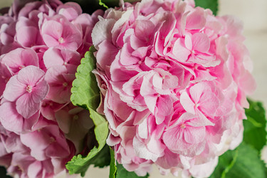 Similar image 21110308