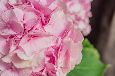 Similar image 21110315