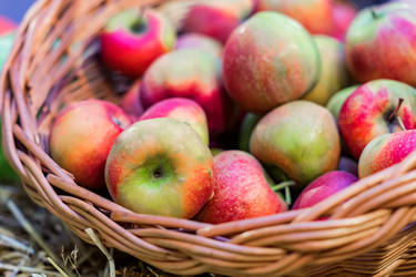 Similar image 21110316