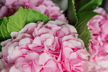 Similar image 21110319