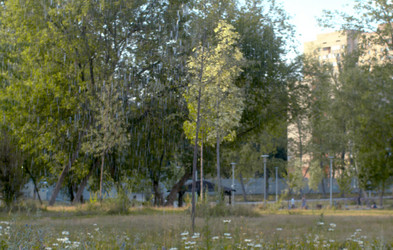 Similar image 21121624