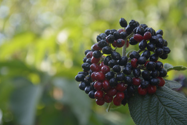 Similar image 21106425