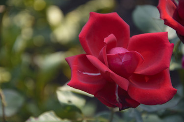 Similar image 21106426