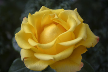 Similar image 21106430