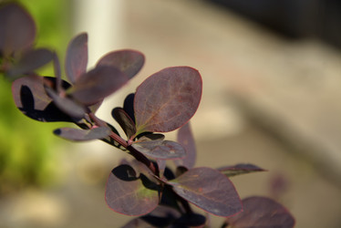 Similar image 21106432