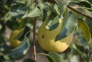 Similar image 21106433