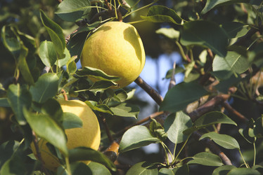 Similar image 21106434