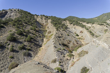 Similar image 21106274