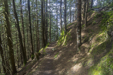 Similar image 21106275