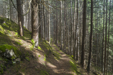 Similar image 21106276