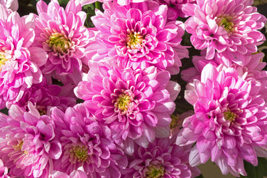 Similar image 21106280