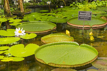 Similar image 21106282