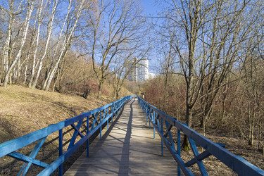 Similar image 21106285