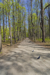 Similar image 21106288