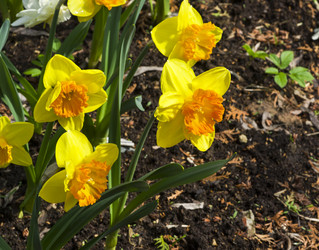 Similar image 21106292