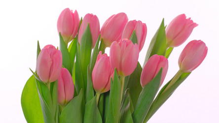 Similar image 21108352