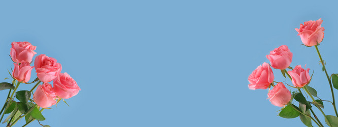 Similar image 21108358