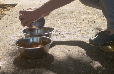 Similar image 21121633