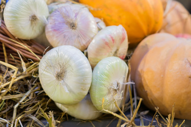 Similar image 21110321