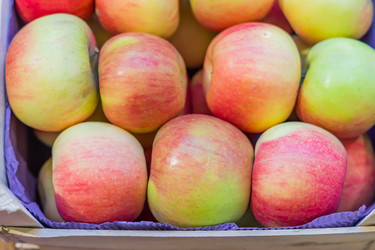 Similar image 21110323