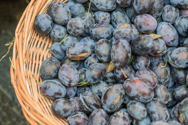 Similar image 21110325