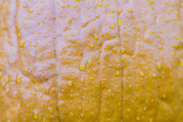 Similar image 21110328