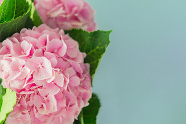 Similar image 21110331