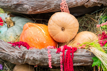 Similar image 21110332