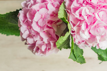 Similar image 21110335