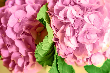 Similar image 21110339