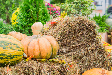 Similar image 21110340