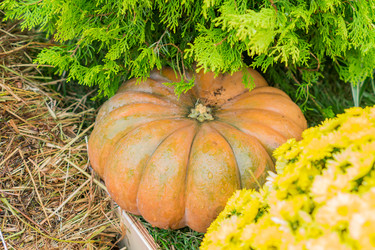 Similar image 21110342