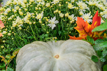 Similar image 21110344