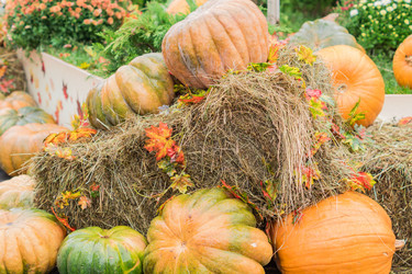 Similar image 21110346