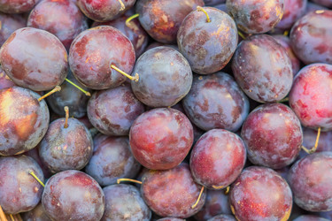 Similar image 21110347