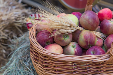 Similar image 21110349